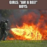 *TF2 Pyro Intensifies* | GIRLS: "AH! A BEE!"
BOYS:; *CHUCKLES IN FLAMMENWERFER* | image tagged in flamethrower,funny,meme,arson,boys vs girls | made w/ Imgflip meme maker