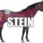 stein meme