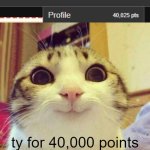 thank you alllllll :D i love y'alll | ty for 40,000 points and 25 followers y'alll | image tagged in memes,smiling cat | made w/ Imgflip meme maker