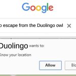 Duolingo | How to escape from the Duolingo owl; Duolingo | image tagged in wants to know your location,duolingo,wut | made w/ Imgflip meme maker