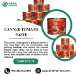 Canned Tomato Paste