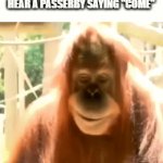 interesting... | MY ASS EVERY TIME I HEAR A PASSERBY SAYING "COME" | image tagged in gifs,sus,memes,meme,funny,evil | made w/ Imgflip video-to-gif maker