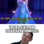 Becoming an Independent Consultant | PEOPLE DECIDING TO BECOME INDEPENDENT CONSULTANTS:; THE IRS, STATE, AND LOCAL TAX AUTHORITIES: | image tagged in i'm free you sure about that elsa and tim robinson | made w/ Imgflip meme maker