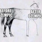 O O O  Ozempic | BEFORE OZEMPIC; AFTER OZEMPIC | image tagged in horse drawing,funny,so true memes | made w/ Imgflip meme maker