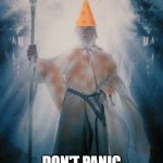 Gandalf the Orange Don't Panic | DON'T PANIC | image tagged in gandalftheorange,don't panic,safety first,nolihocdomi | made w/ Imgflip meme maker