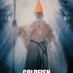 Gandalf the Orange Goldfish | GOLDFISH | image tagged in gandalftheorange,goldfish | made w/ Imgflip meme maker