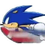 sonic gif 29 GIF Template