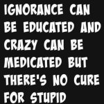 The Truth About Stupid