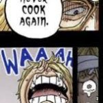 never cook again