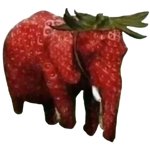 strawberry elephant