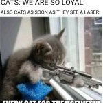 Confirmed title | PEOPLE: CATS ARE SO LOYAL! CATS: WE ARE SO LOYAL; ALSO CATS AS SOON AS THEY SEE A LASER:; EVERY CAT FOR THEMSELVES!!! | image tagged in cats with guns,memes,funny,cats,for real | made w/ Imgflip meme maker