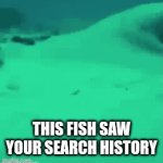 Your search history | THIS FISH SAW YOUR SEARCH HISTORY | image tagged in gifs,search history | made w/ Imgflip video-to-gif maker