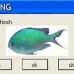 Fish. meme