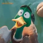 migration cool GIF Template