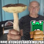 Have a fungus and a mulpan meme