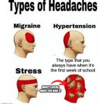 The headache chart | The type that you always have when it's the first week of school; WHAT'S INSIDE WHEN YOU HAVE IT | image tagged in types of headaches meme | made w/ Imgflip meme maker