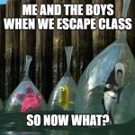 School Memes Vol. 5 | ME AND THE BOYS WHEN WE ESCAPE CLASS; SO NOW WHAT? | image tagged in now what - finding nemo,me and the boys | made w/ Imgflip meme maker