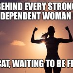 Strong Woman | BEHIND EVERY STRONG INDEPENDENT WOMAN IS; A CAT, WAITING TO BE FED. | image tagged in strong woman | made w/ Imgflip meme maker