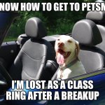 Lost | YOU KNOW HOW TO GET TO PETSMART? I’M LOST AS A CLASS RING AFTER A BREAKUP | image tagged in gppr hobo,dog,driving,pets | made w/ Imgflip meme maker