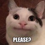 Polite Cat Please | PLEASE? | image tagged in polite cat | made w/ Imgflip meme maker