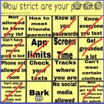 Strict parent bingo | TF? | image tagged in strict parent bingo | made w/ Imgflip meme maker