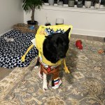 Pepper Squarepants