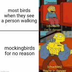 attack mode activated | most birds when they see a person walking; mockingbirds for no reason | image tagged in i'm in danger you're in danger | made w/ Imgflip meme maker