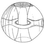 Hole in a Hole in a Hole