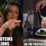 Feel free to share and tag us for a repost! @Vgang_Community | BUT PROTEINS AND LIONS; AH, THE ‘PROTEIN EXPERT’ HAS ARRIVED. | image tagged in woman yelling at cat,food memes,cute cat,funny,funny memes | made w/ Imgflip meme maker