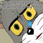 My dog | My dog intensley staring at me while I eat my hotdog | image tagged in memes,unsettled tom | made w/ Imgflip meme maker