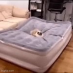 sinking cat GIF Template