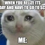 Monday be like | WHEN YOU RELIZE ITS MONDAY AND HAVE TO GO TO SCHOOL; ME: | image tagged in crying cat | made w/ Imgflip meme maker