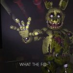 Springtrap WTF