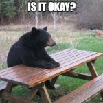 Patient Bear | IS IT OKAY? | image tagged in patient bear | made w/ Imgflip meme maker