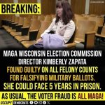 More MAGAt voter fraud