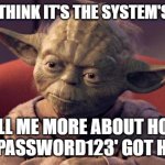 Yoda Wisdom | OH YOU THINK IT'S THE SYSTEM'S FAULT? TELL ME MORE ABOUT HOW YOUR 'PASSWORD123' GOT HACKED | image tagged in yoda wisdom | made w/ Imgflip meme maker