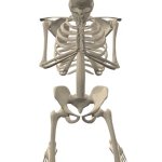 Praying skeleton