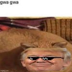 gwa gwa | image tagged in gwa gwa | made w/ Imgflip meme maker