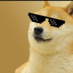 Da kool Doge