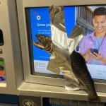 Fish On ATM