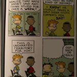 Big Nate Bad Opinion