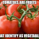 You can't say this is not the case | TOMATOES ARE FRUITS; THAT IDENTIFY AS VEGETABLES | image tagged in tomato,funny,memes,i identify as | made w/ Imgflip meme maker