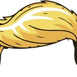 TRUMP HAIR