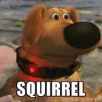 Dog Squirrel text