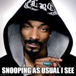 Snoop dogg | SNOOPING AS USUAL I SEE | image tagged in snoop dogg,snooping | made w/ Imgflip meme maker