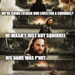 For P'nut! | WE'RE GOING TO RISK OUR LIVES FOR A SQUIRREL? HE WASN'T JUST ANY SQUIRREL; HIS NAME WAS P'NUT; FOR P'NUT!!! | image tagged in for frodo,p'nut,squirrel,ny is evil af,pet murder | made w/ Imgflip meme maker