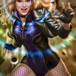 Black Canary | image tagged in black canary,superhero,dc comics,memes,singer,blonde | made w/ Imgflip meme maker