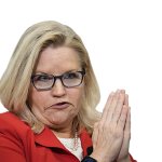 LIZ CHENEY BEGS FOR PARDON meme