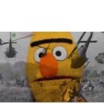 Bert