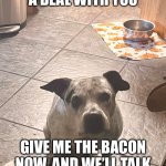 Did you say bacon?! | LET ME MAKE A DEAL WITH YOU; GIVE ME THE BACON NOW, AND WE’LL TALK ABOUT THE REST LATER | image tagged in did you say bacon | made w/ Imgflip meme maker
